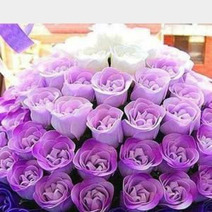 Meet your Posher, Irada